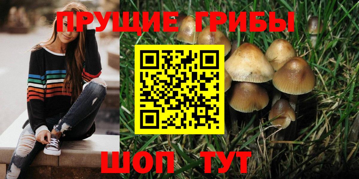 Мыски  Псилоцибиновые грибы MAGIC MUSHROOMS  Вход с VPN 
